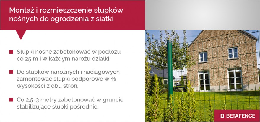 Montaż i rozmieszczenie słupków nośnych do ogrodzenia z siatki